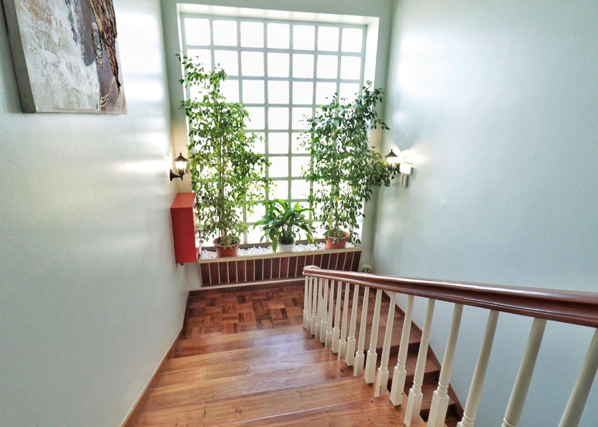 Hostel Jardins De Sao Luis Σετούμπαλ Εξωτερικό φωτογραφία